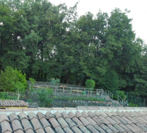 Aetna Silva Zafferana Etnea